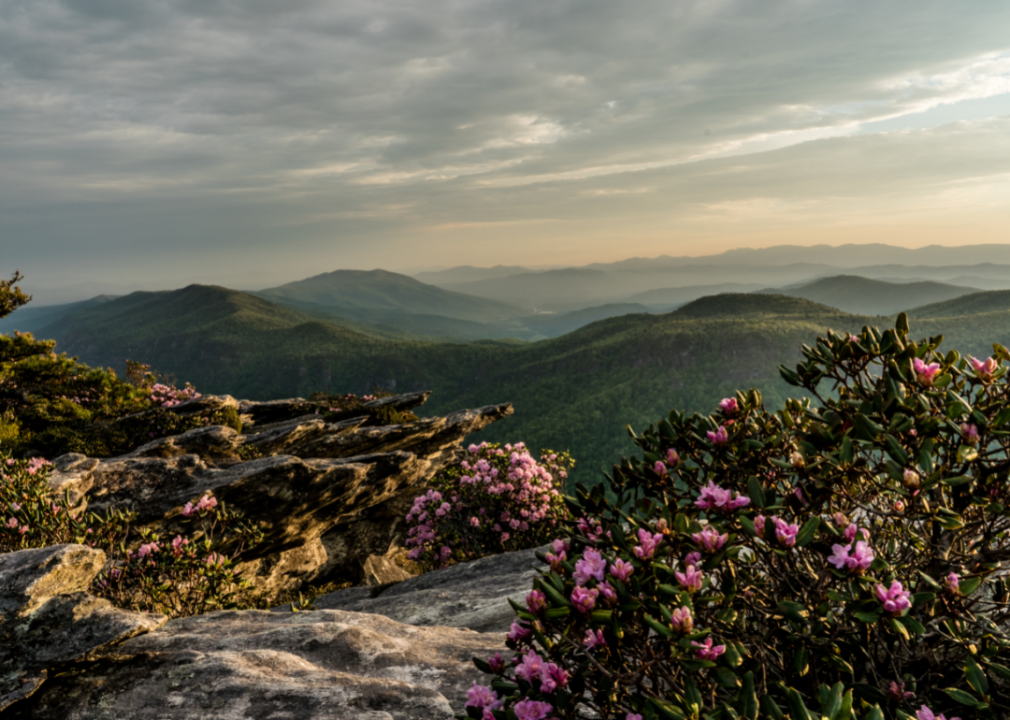 #10. North Carolina